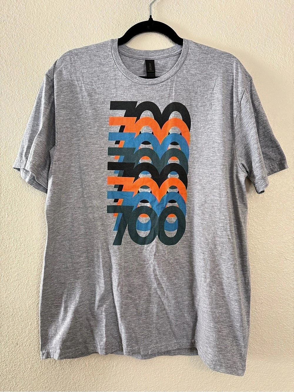 Gildan Softstyle Short Sleeve T-Shirt Gray Mens L